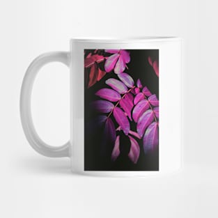 Elos (II) Mug